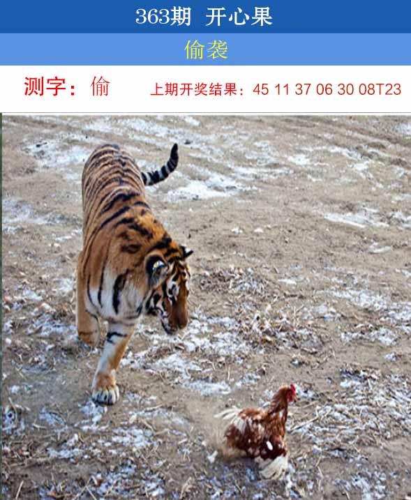 363期开心果[图]