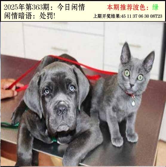 363期今日闲情2[图]