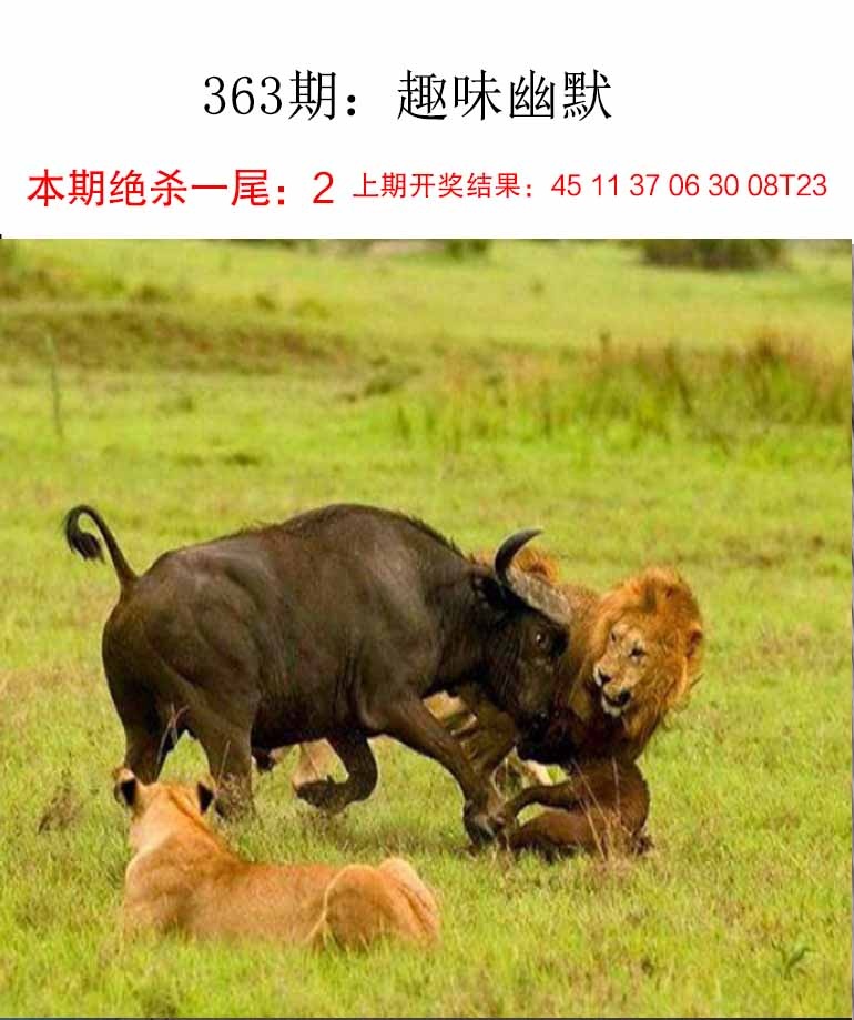 363期趣味幽默[图]