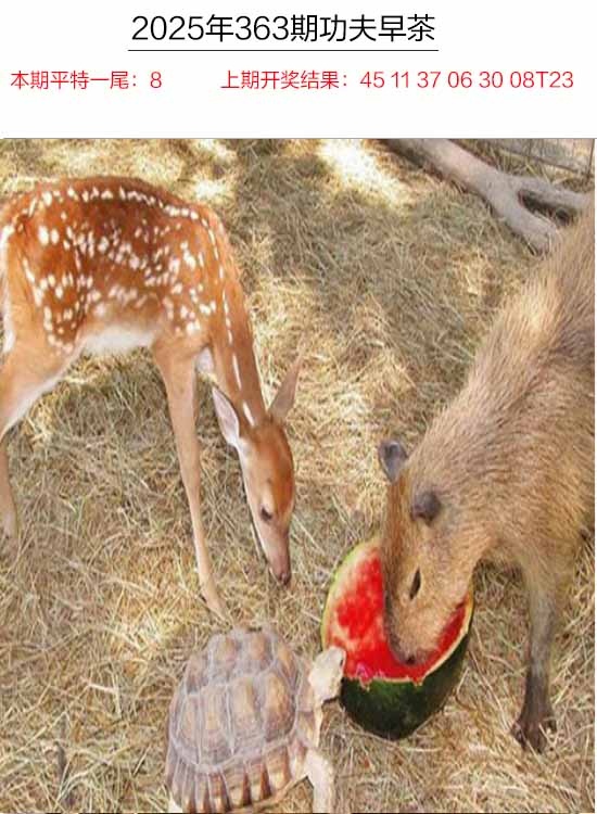 363期功夫早茶[图]