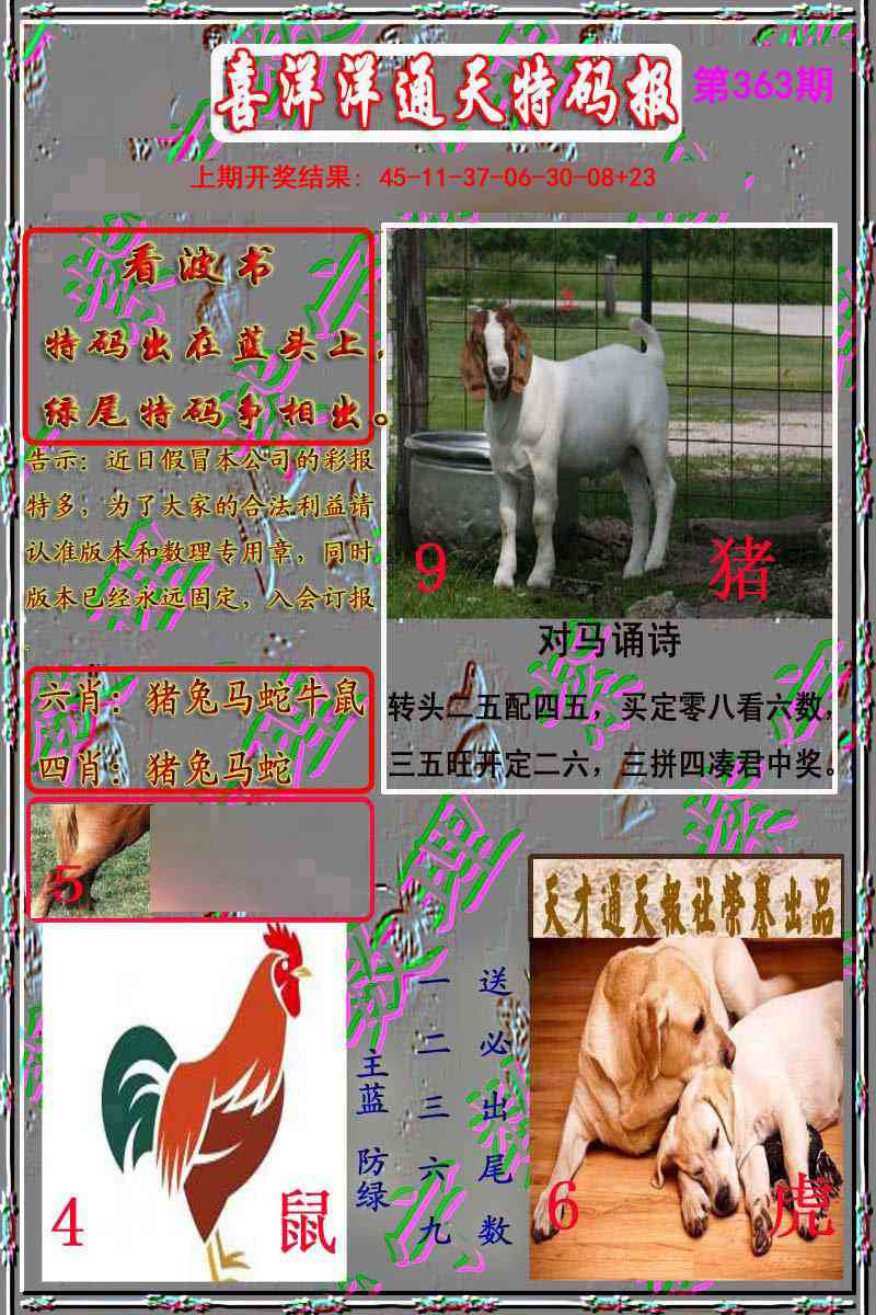 363期洋通报[图]