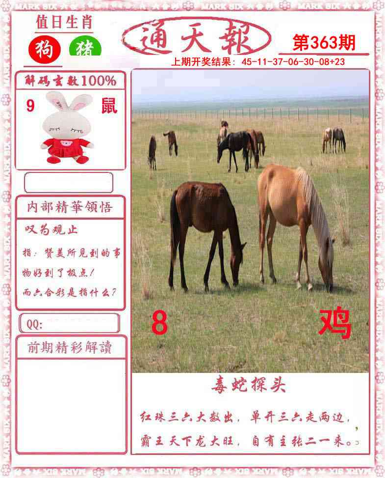 363期正版通天报[图]