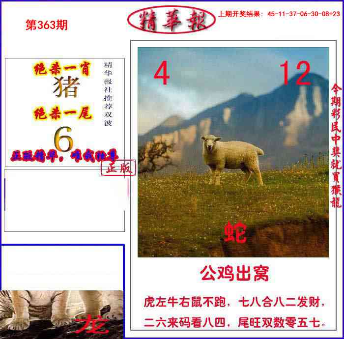 363期新精华报报[图]