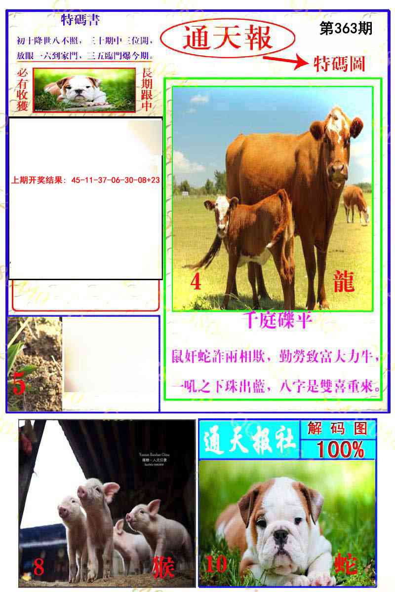 363期通天特解图[图]