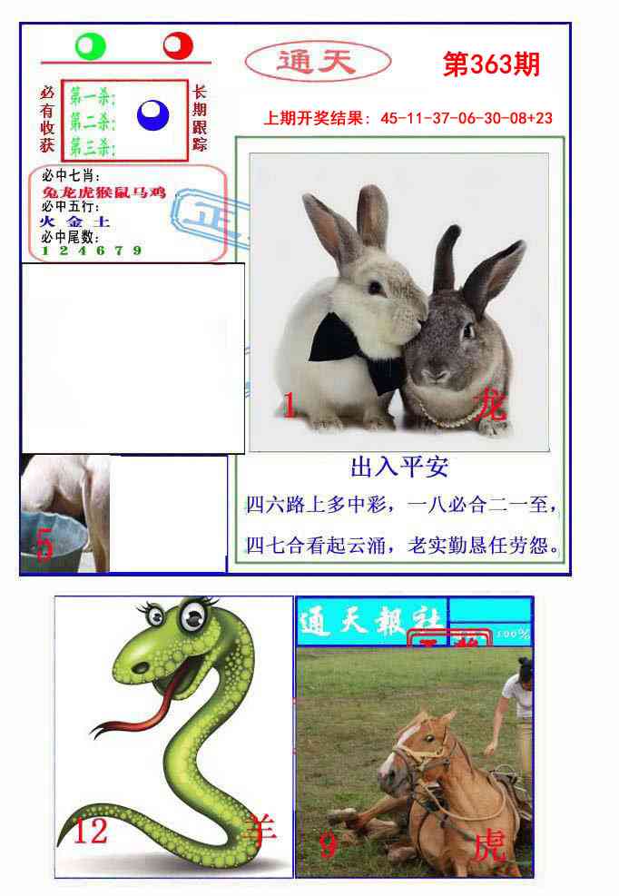 363期通天杀波图2[图]