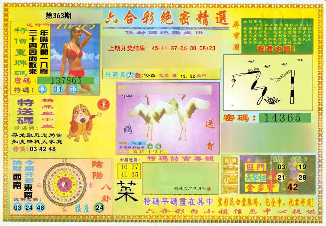 363期绝密精选A[图]
