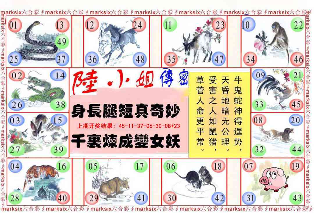 363期陆小姐传密B[图]