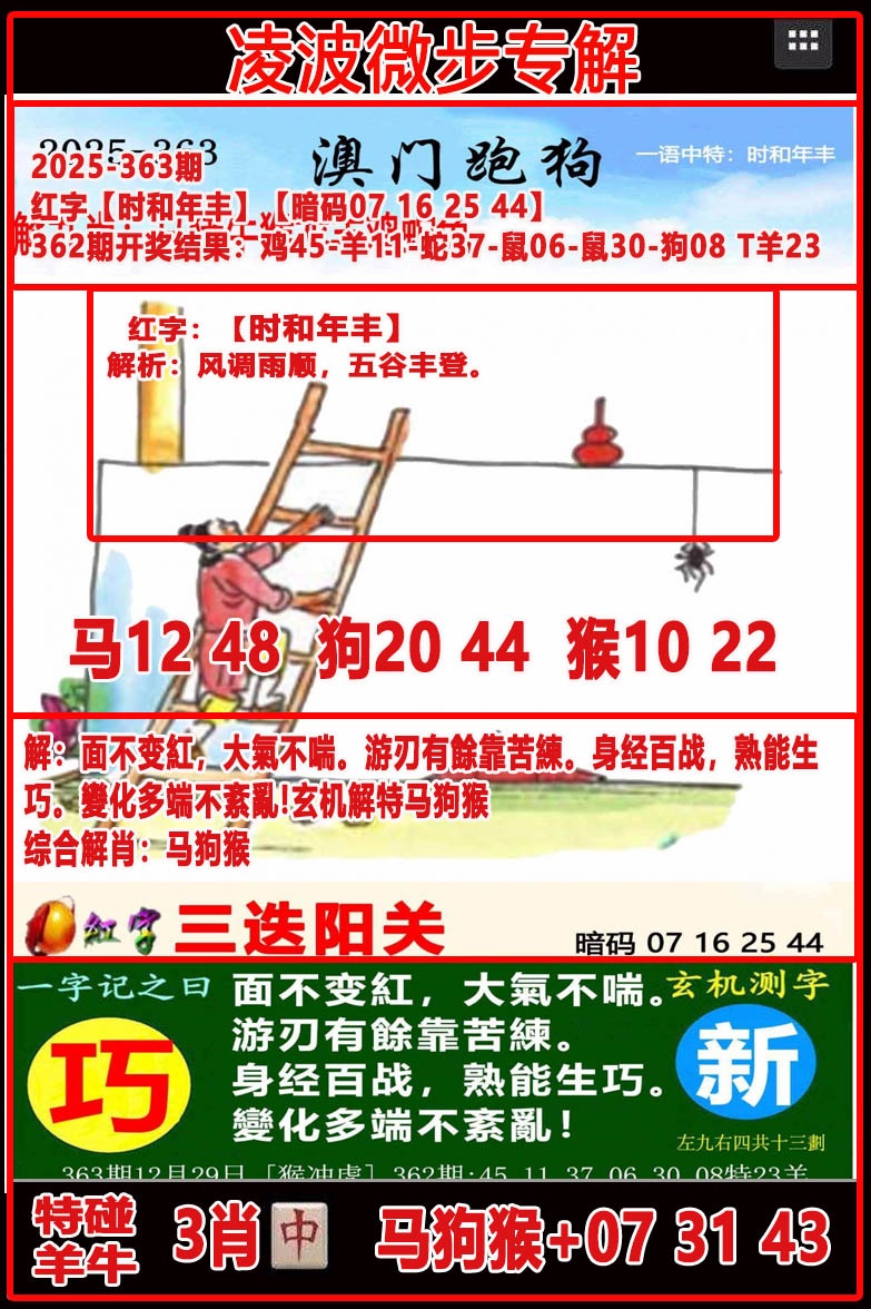 363期凌波微步[图]