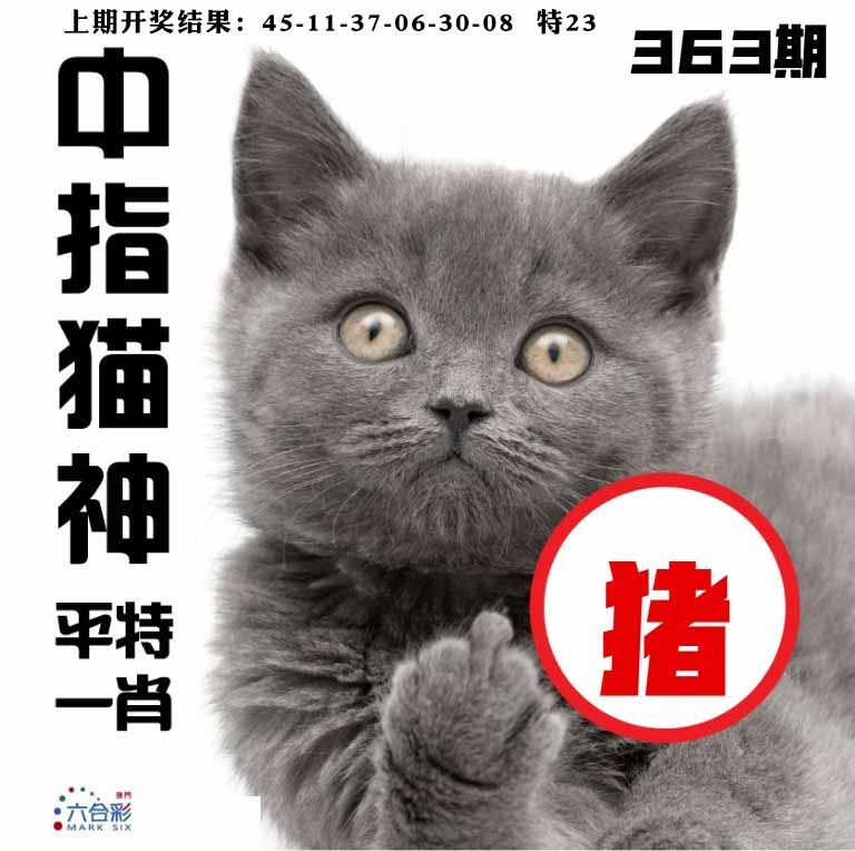 363期中指猫神[图]