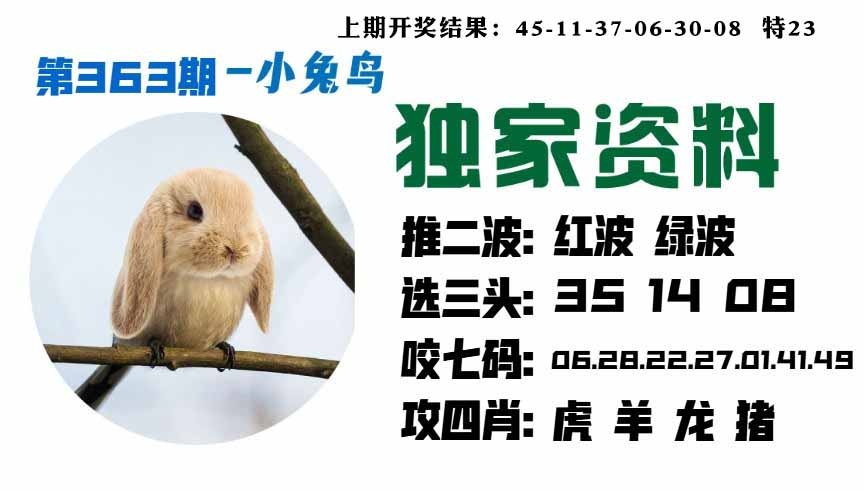 363期小兔鸟[图]
