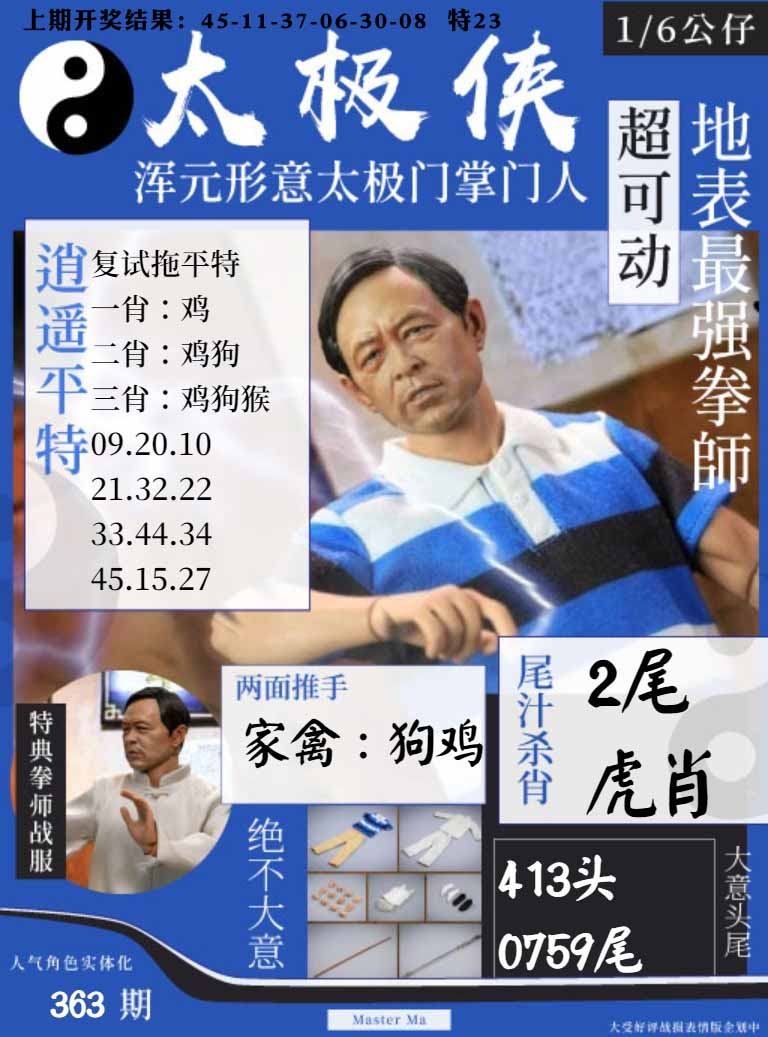 363期太极侠[图]